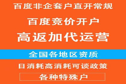SEM代运营服务公司案例分析：提升广告效果